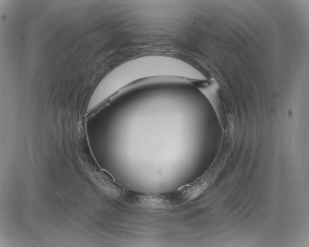 X0000081600380200702051335