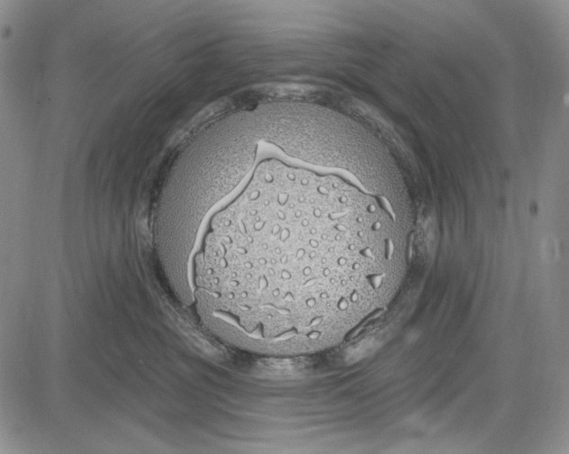 X0000081600381200702051335