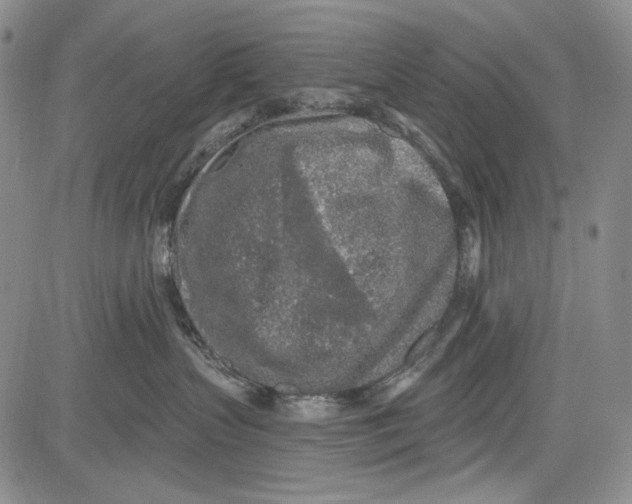 X0000081600383200702051335