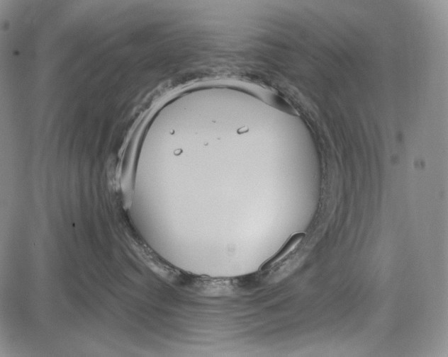 X0000081600384200702051335