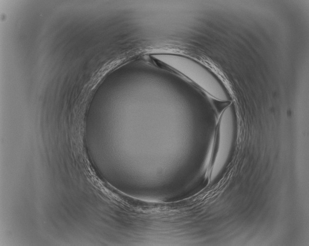 X0000081600385200702051334