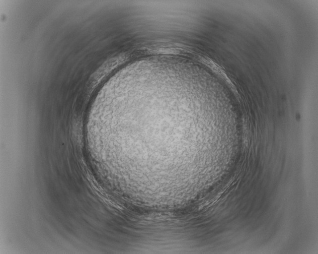 X0000081600386200702051334