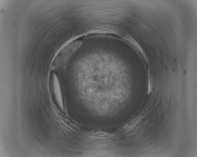 X0000081600387200702051334