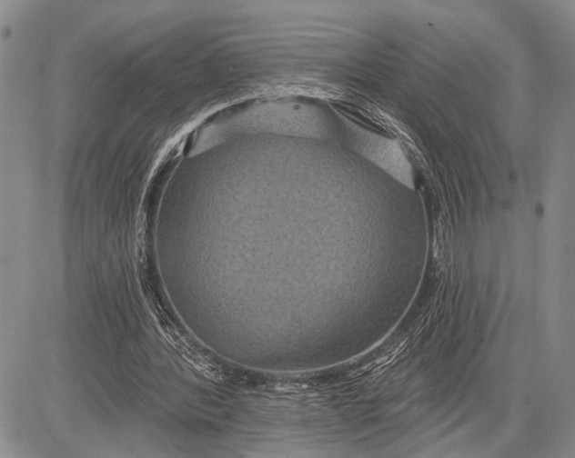 X0000081600388200702051334