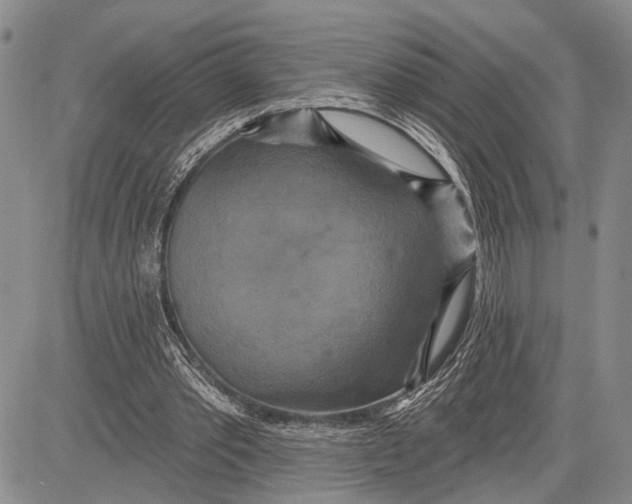 X0000081600389200702051334