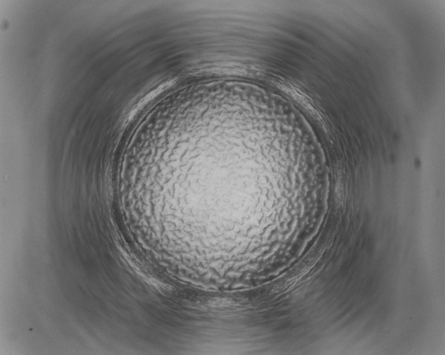 X0000081600390200702051334