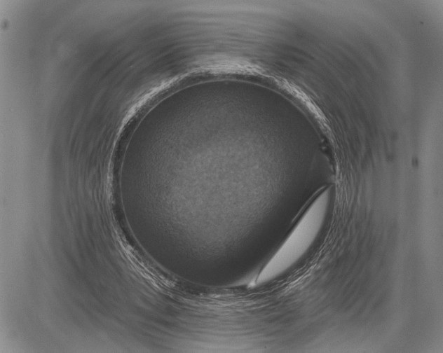 X0000081600391200702051334