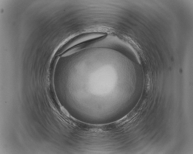 X0000081600392200702051334