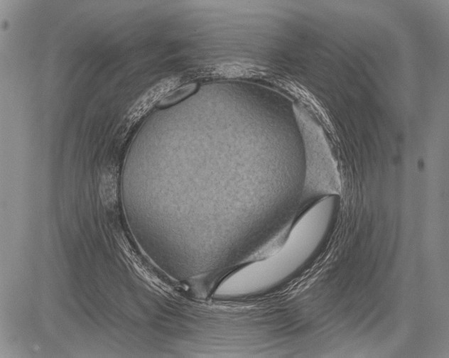 X0000081600393200702051334