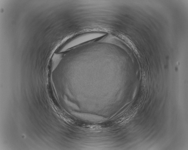 X0000081600395200702051334