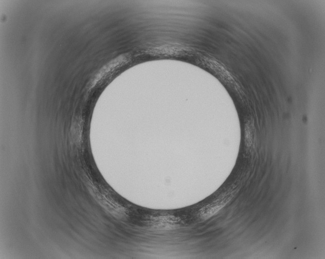 X0000081600396200702051334