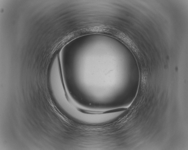 X0000081600397200702051334