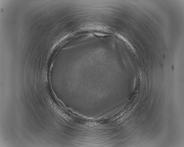 X0000081600399200702051334