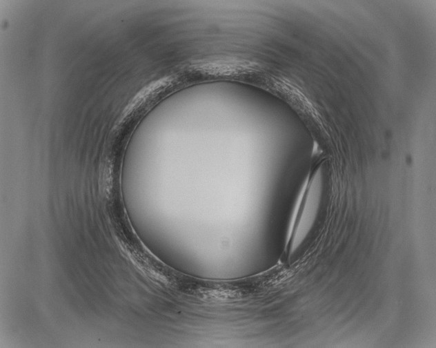 X0000081600400200702051334