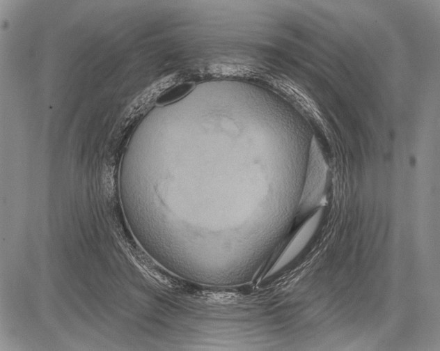 X0000081600401200702051334