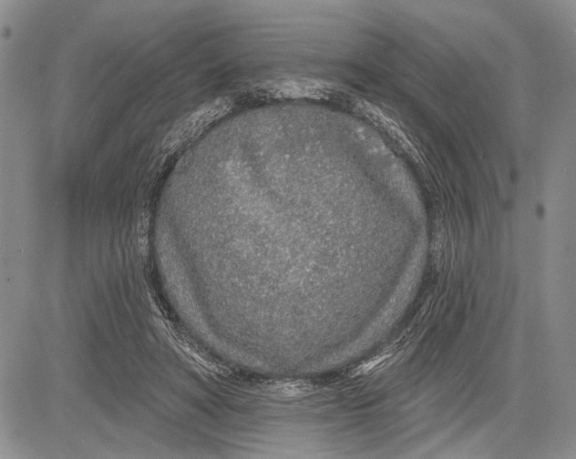 X0000081600402200702051334