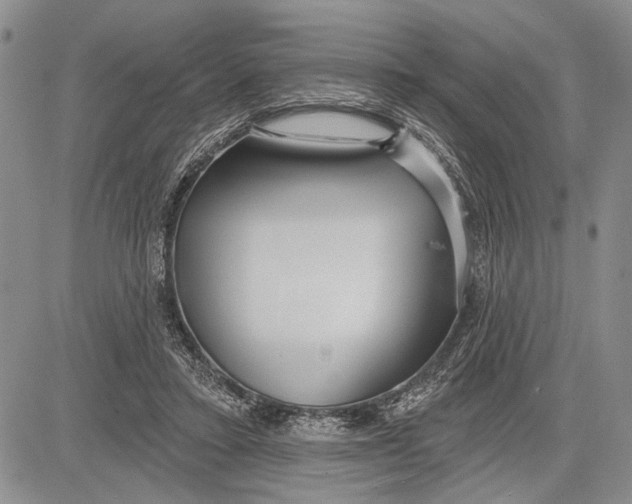 X0000081600403200702051334