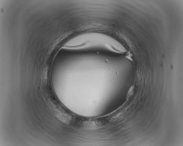 X0000081600404200702051334