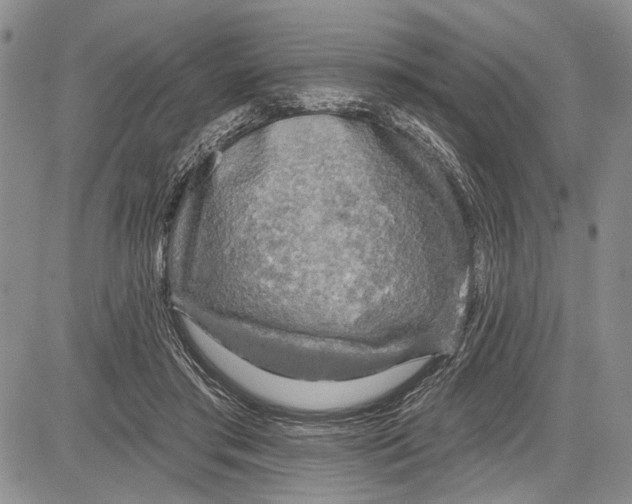 X0000081600405200702051334