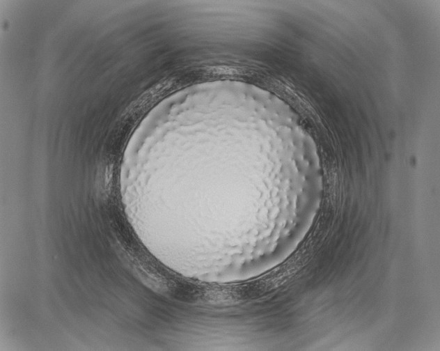 X0000081600406200702051334