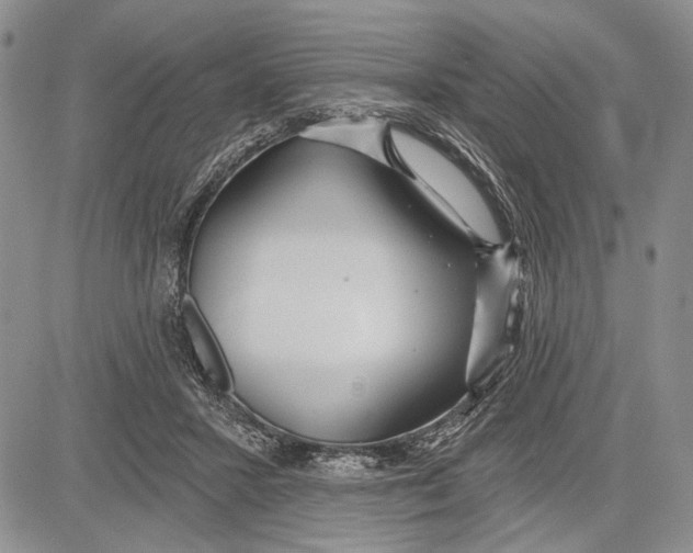 X0000081600407200702051334