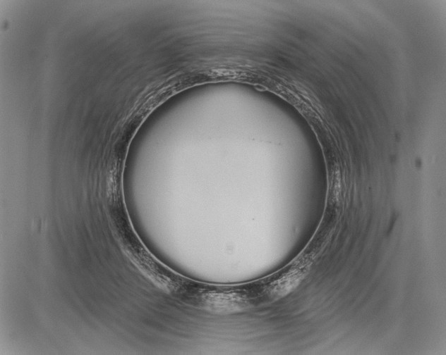 X0000081600408200702051334