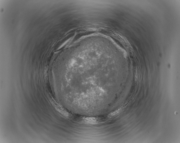 X0000081600409200702051334