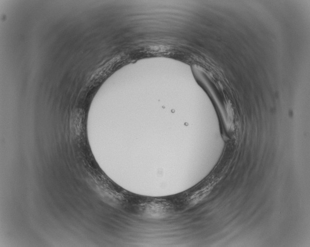 X0000081600412200702051334