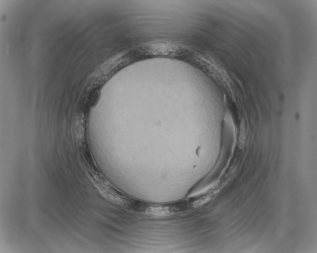 X0000081600413200702051334