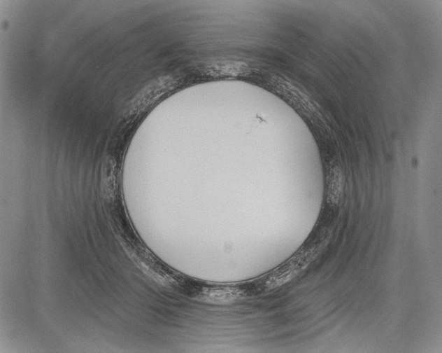 X0000081600414200702051334