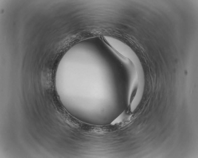 X0000081600416200702051334