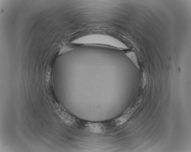 X0000081600417200702051334