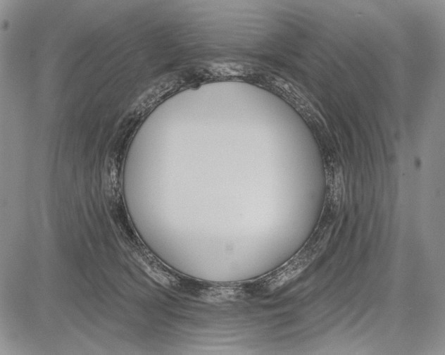 X0000081600418200702051334