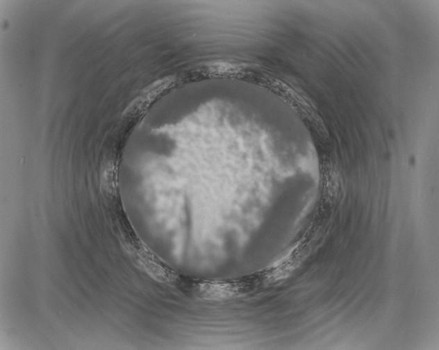 X0000081600419200702051334