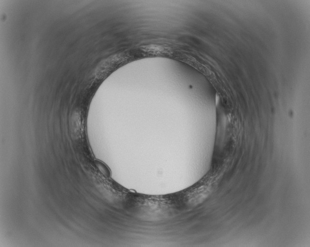 X0000081600420200702051334