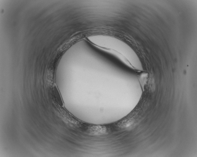 X0000081600421200702051334