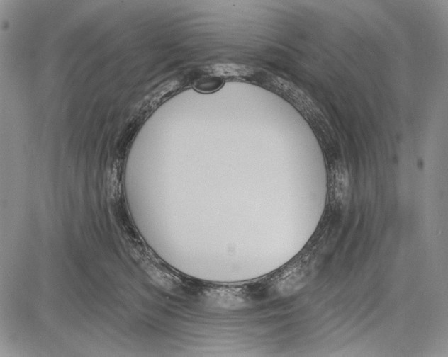 X0000081600422200702051334