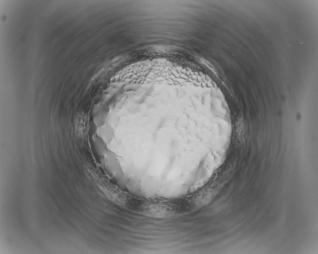 X0000081600423200702051334