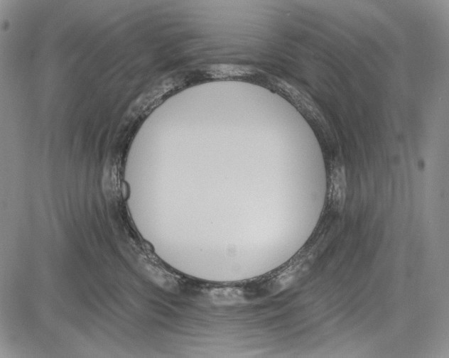 X0000081600426200702051334