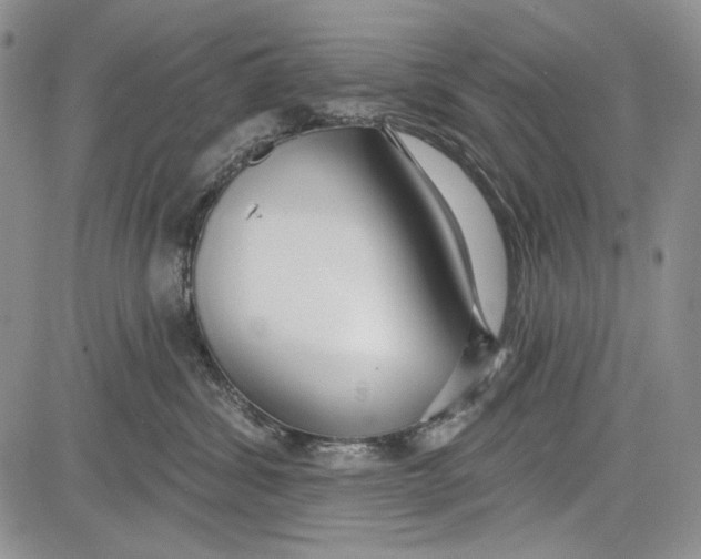 X0000081600428200702051334