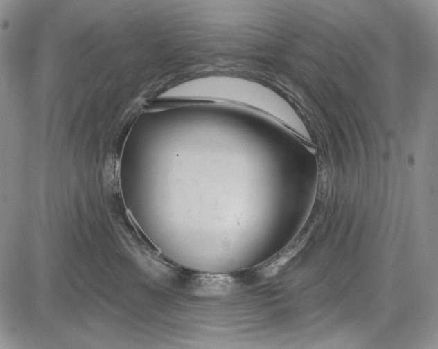 X0000081600429200702051334