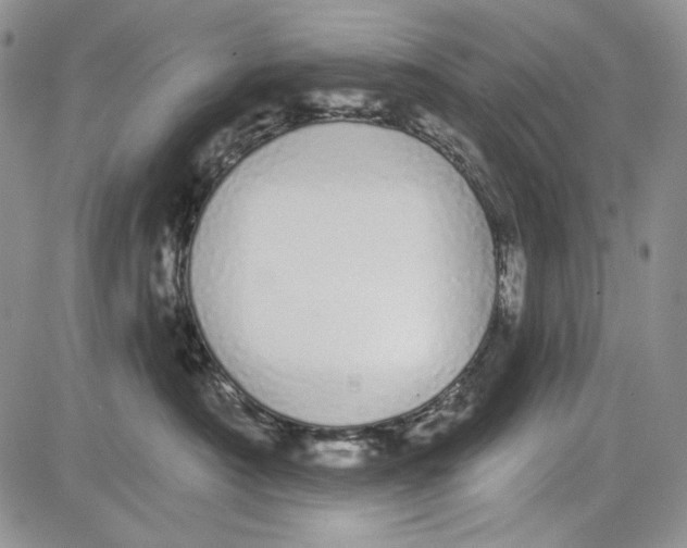 X0000081600430200702051334