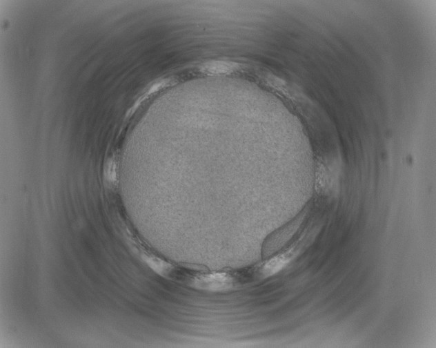 X0000081600431200702051334