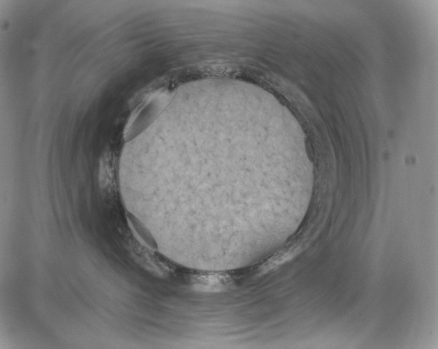 X0000081600432200702051334