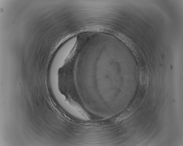 X0000081600434200702051333