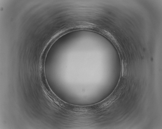 X0000081600435200702051333