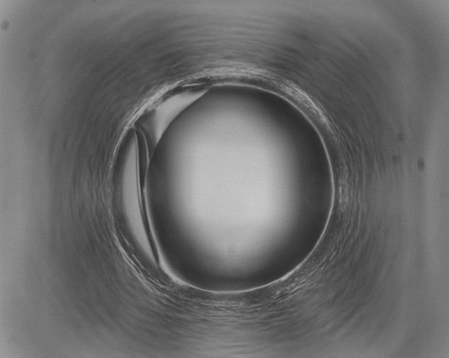 X0000081600436200702051333