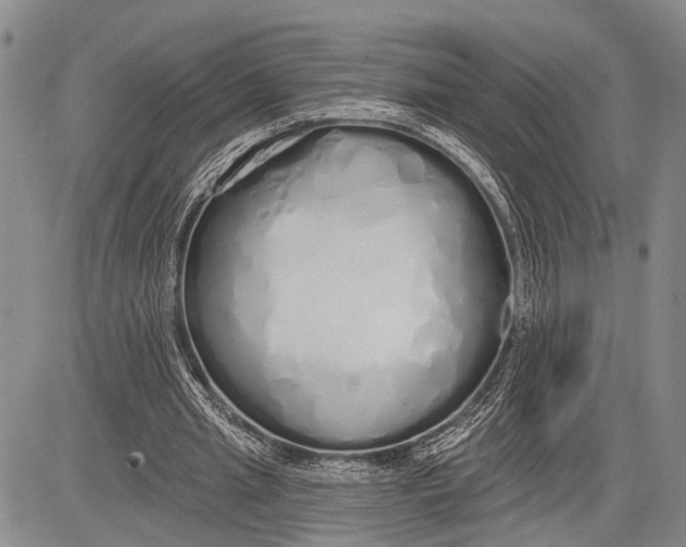 X0000081600437200702051333