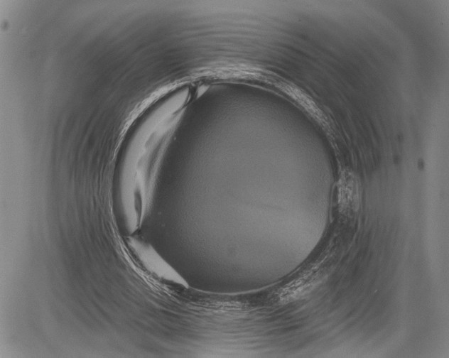 X0000081600438200702051333