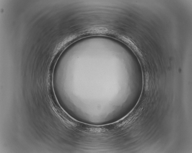 X0000081600439200702051333